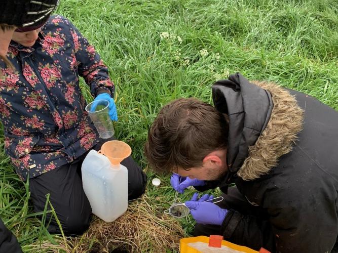 tilbury farm plot pitfall sample