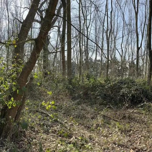 A panoramic photograph of compartment 15