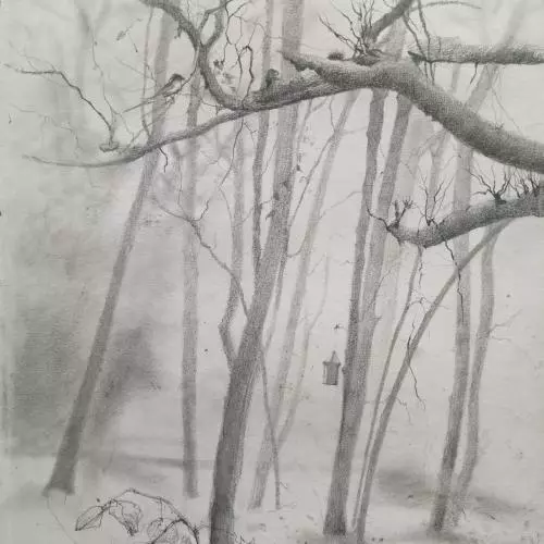 A pencil drawing of trees, a bird box hanging from one of them