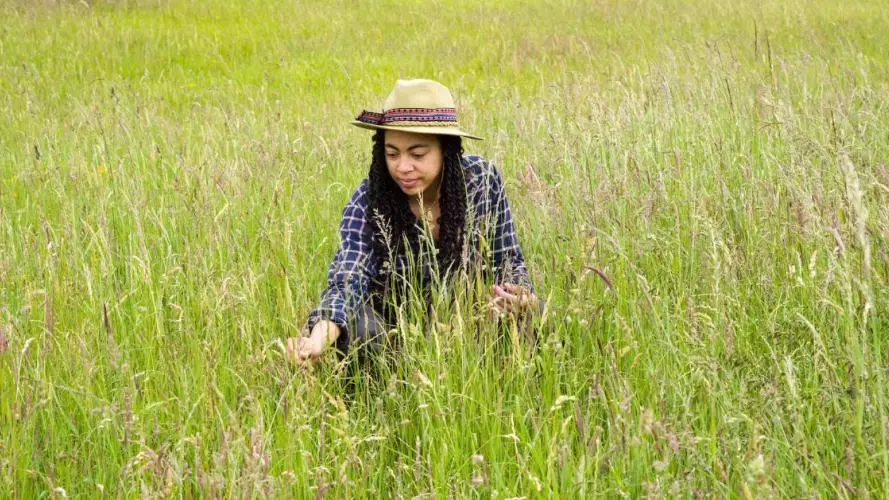 Sara Middleton in the grassland at Upper Seeds, Wytham Woods