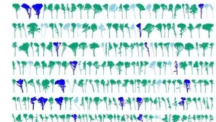 A pictorial representation of the trees scanned, colour coded by species