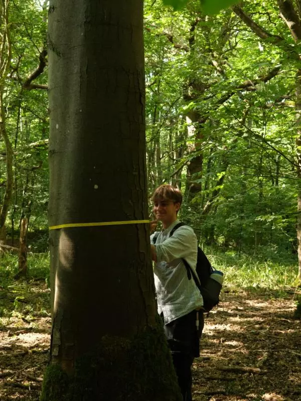A member of the Oxford Ecosystems team at Wytham Woods