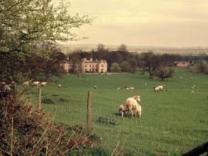 Image of Wytham Abbey and Park across a field of grass, sheep and lambs