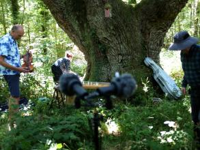 Two people setting up musical instruments under a large moss covered tree with a small bird house hanging from a branch.