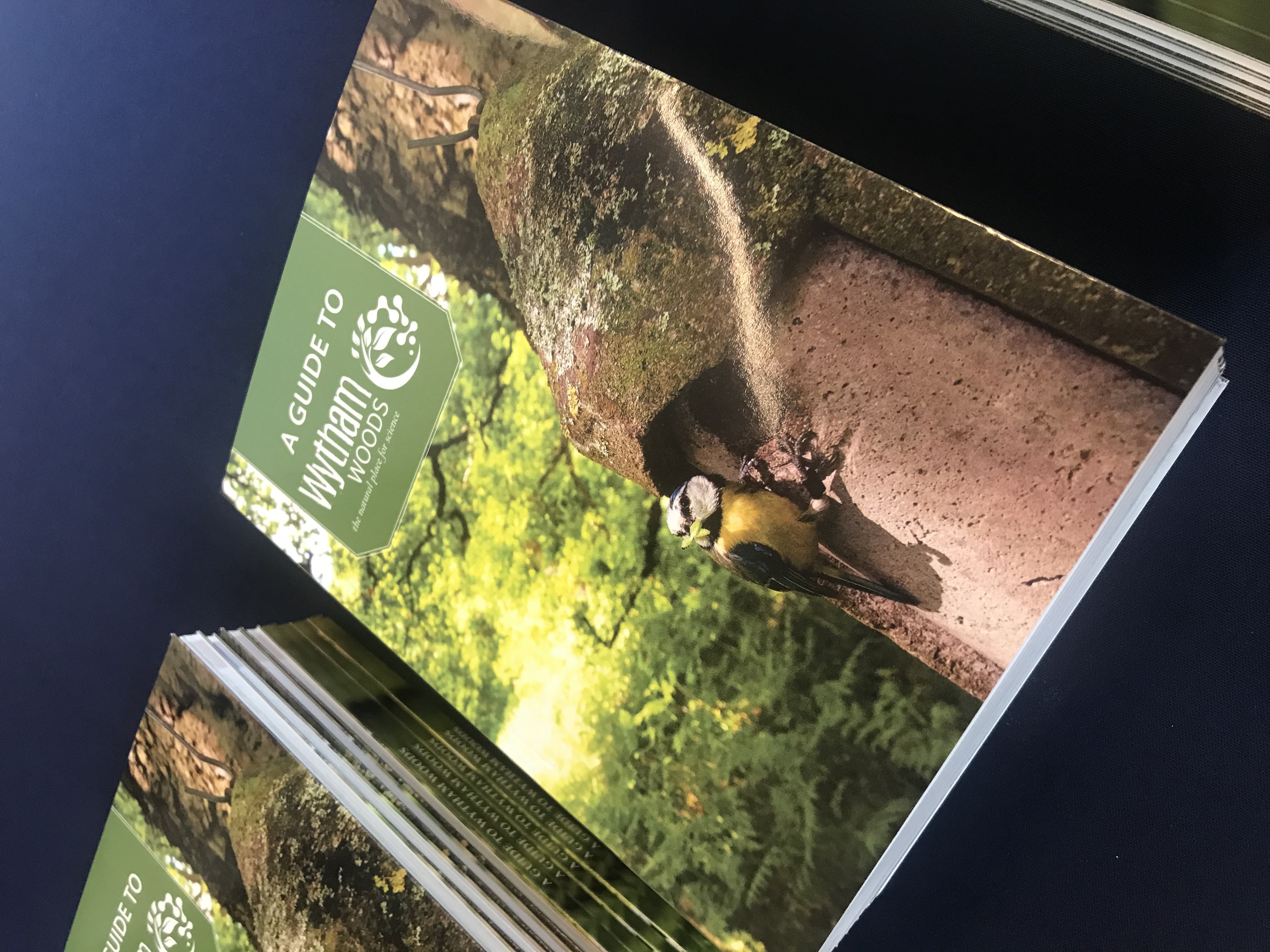 A photograph of a stack of guidebooks